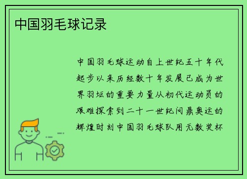 中国羽毛球记录