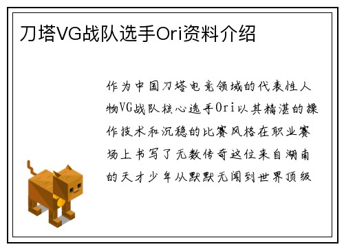 刀塔VG战队选手Ori资料介绍